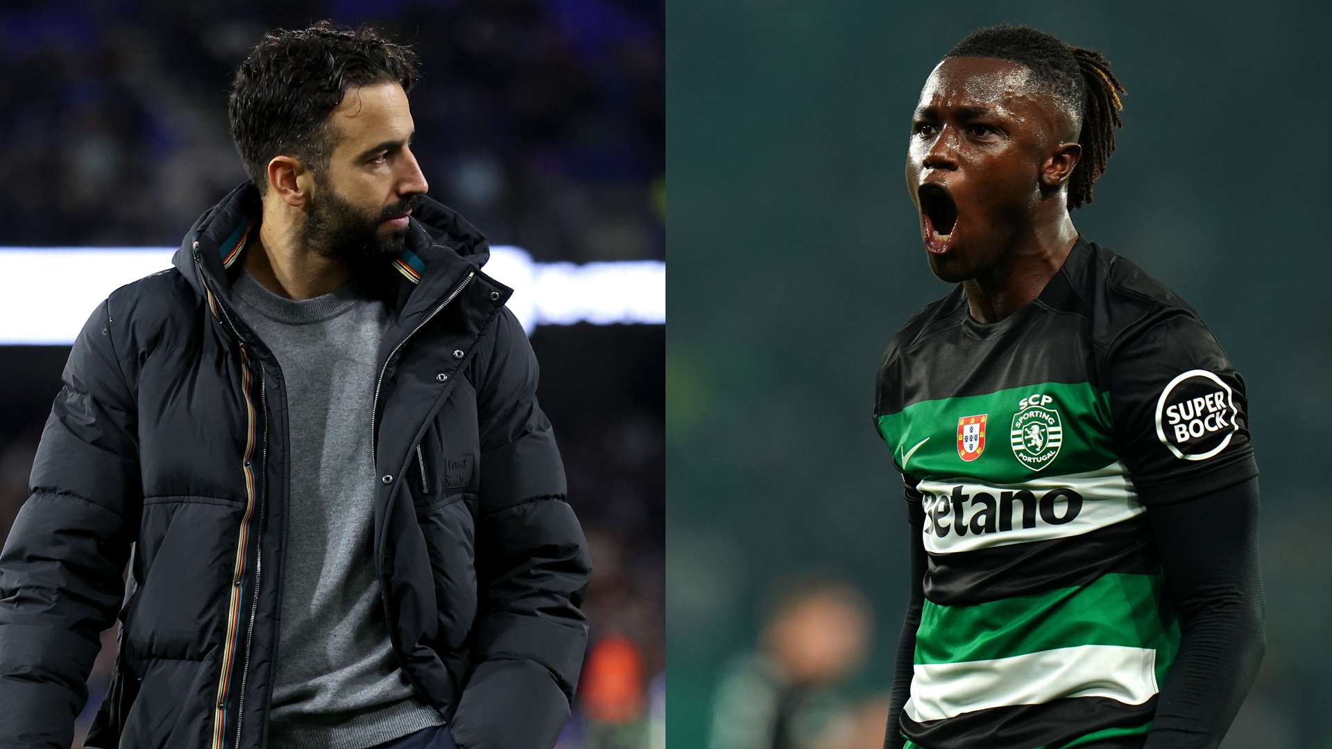 们的拼搏精 们的拼搏精